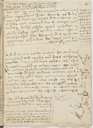 Flug der Vögel, c. 1505-06, Manuskript, Blatt 11 (recto)